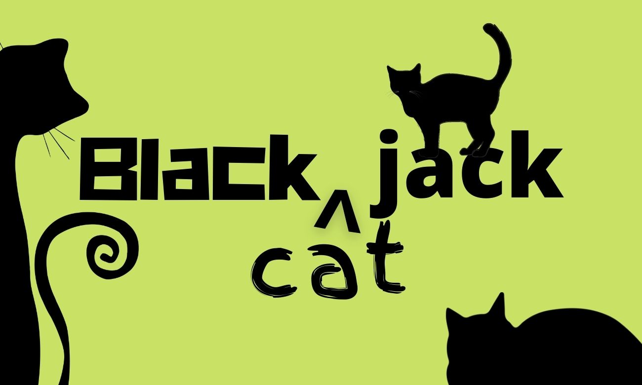 Blackjack Java GUI Project